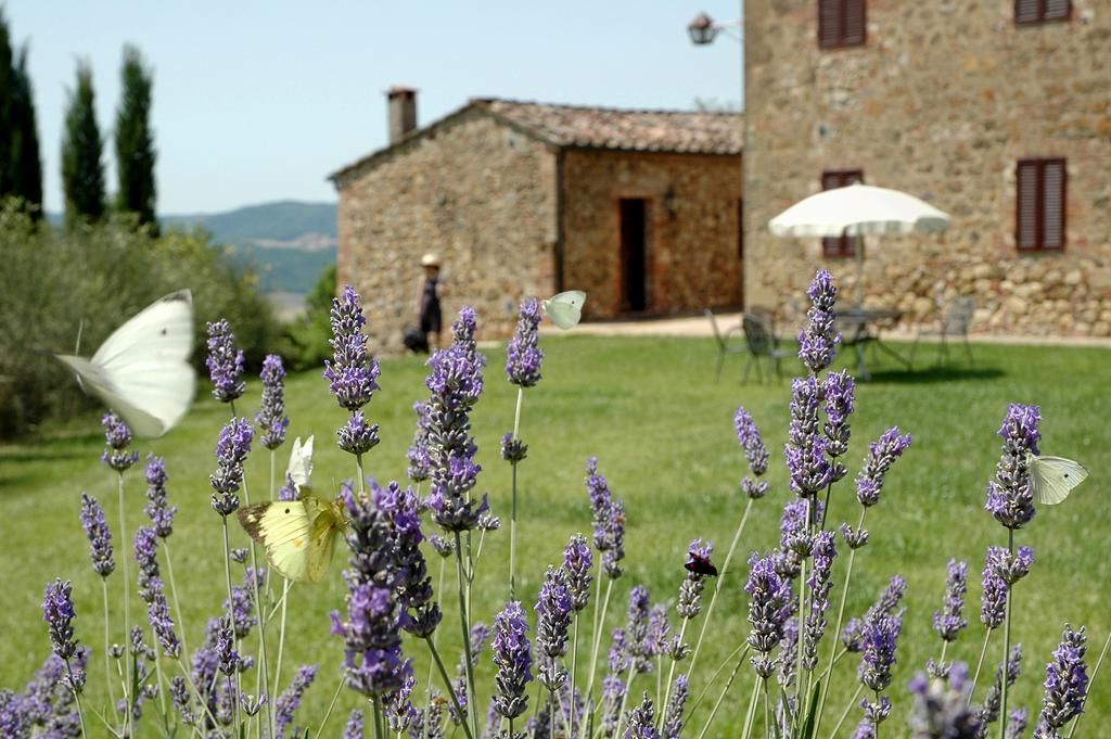 Tenuta Casabianca Murlo Δωμάτιο φωτογραφία