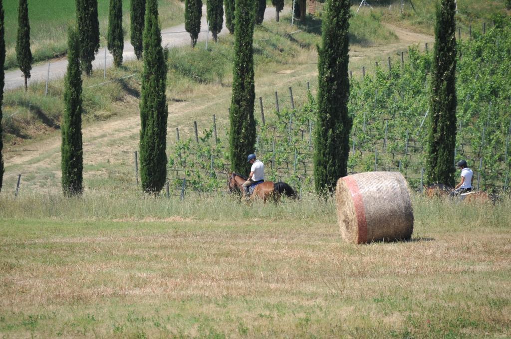 Tenuta Casabianca Murlo Εξωτερικό φωτογραφία