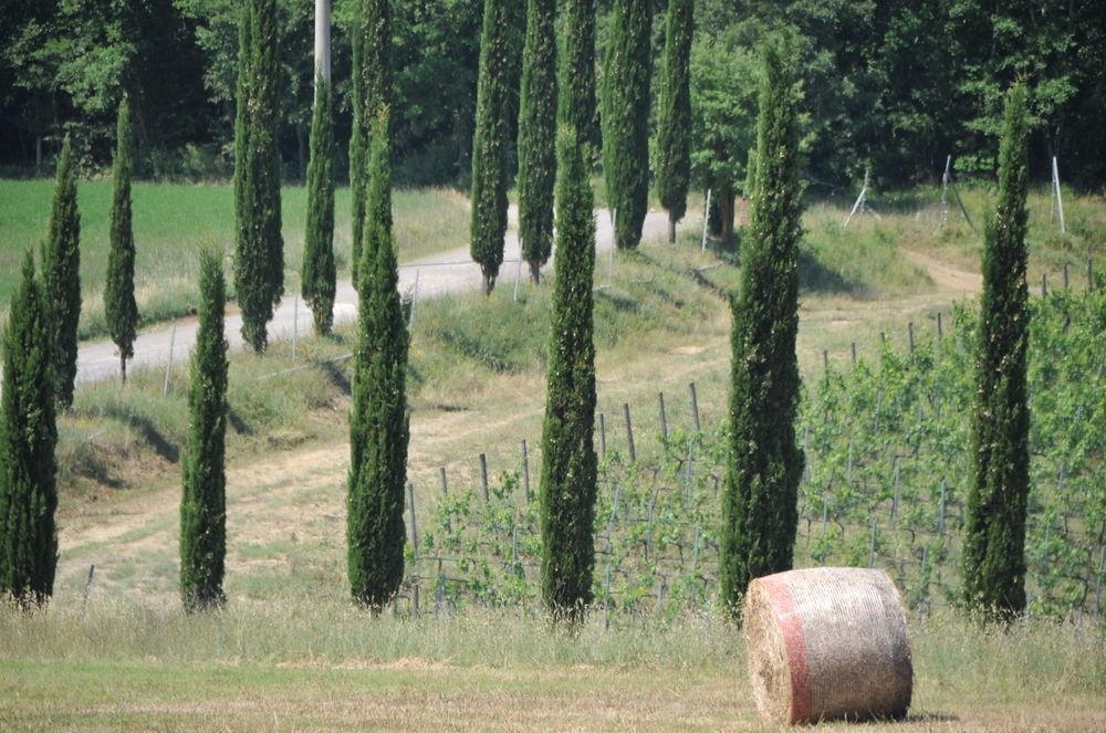 Tenuta Casabianca Murlo Εξωτερικό φωτογραφία