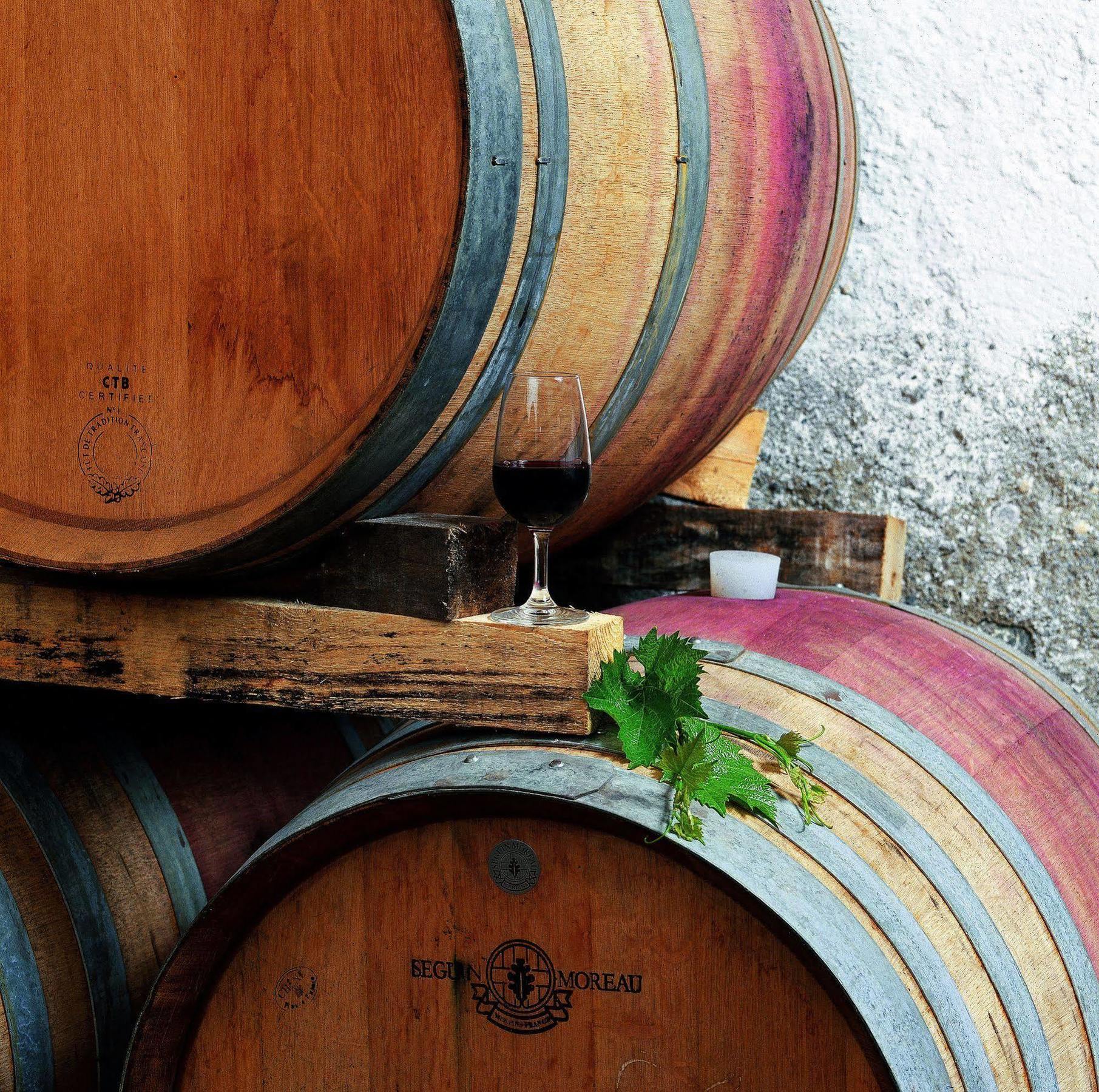 Tenuta Casabianca Murlo Εξωτερικό φωτογραφία